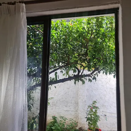 Martha's בית הארחה *
